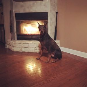 Meet your Posher, Caleb